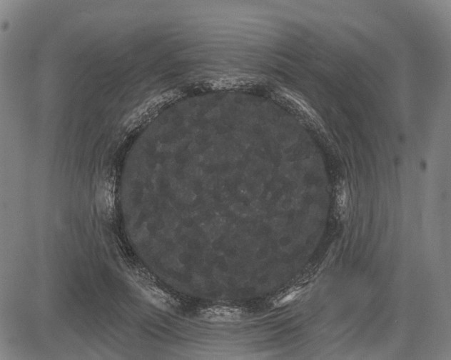 X0000085040691200703121434