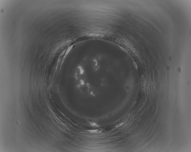 X0000085040692200703121434