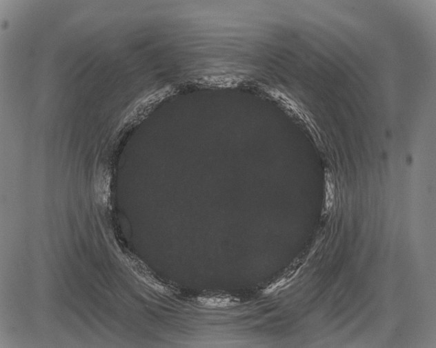 X0000085040693200703121434