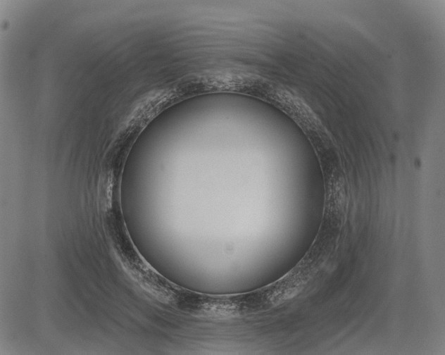 X0000085040694200703121434