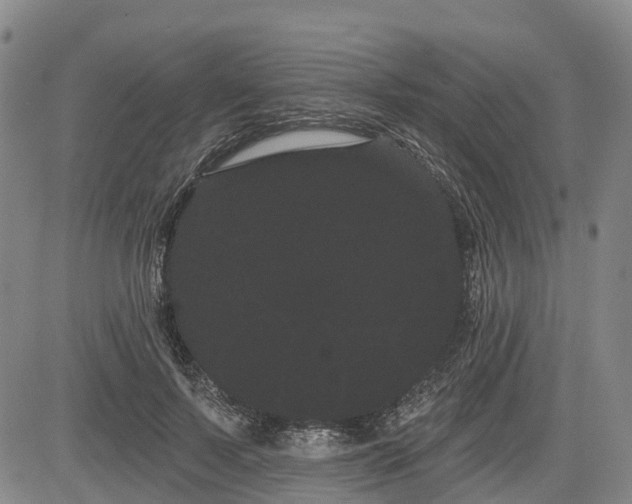 X0000085040695200703121434