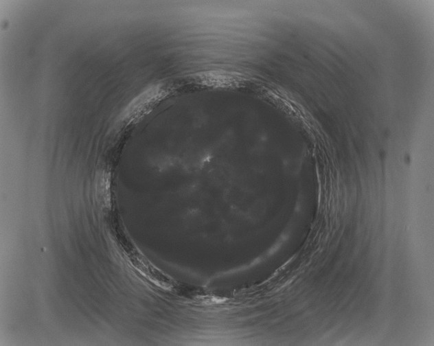 X0000085040696200703121434