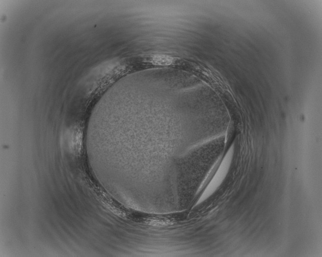 X0000085040697200703121434