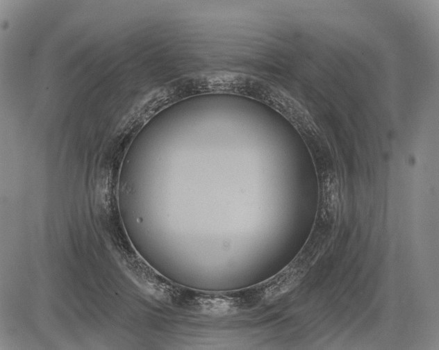 X0000085040698200703121434