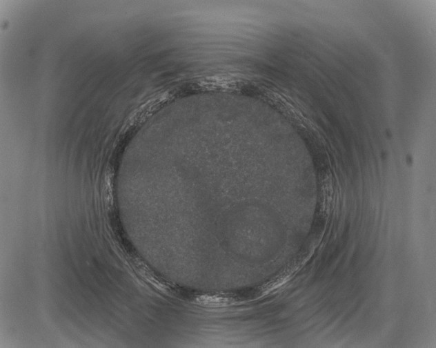 X0000085040699200703121434