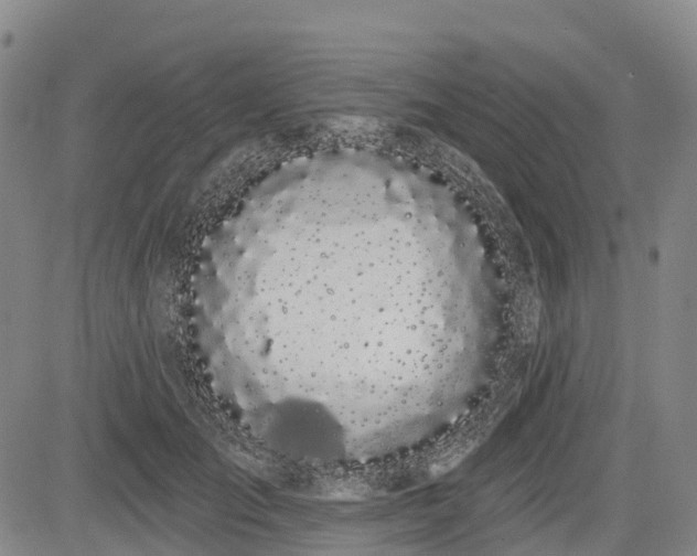 X0000085040701200703121434