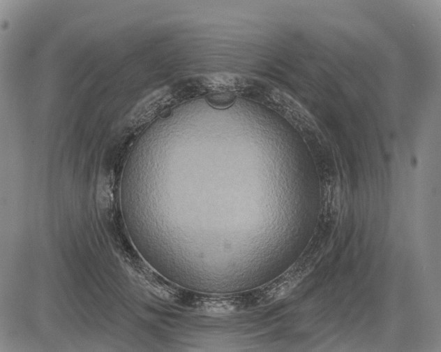 X0000085040702200703121434