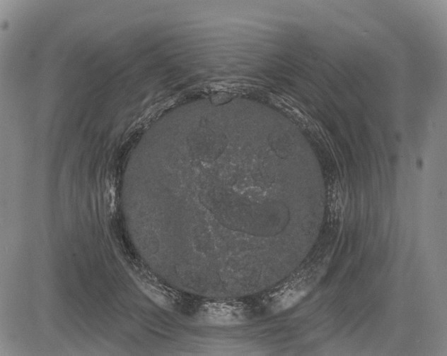 X0000085040703200703121434