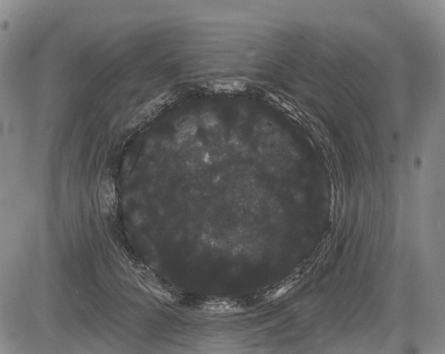 X0000085040704200703121434