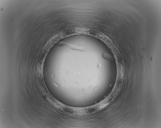 X0000085040705200703121434