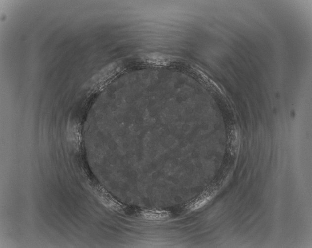 X0000085040707200703121434