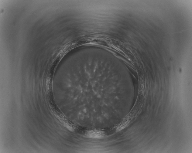 X0000085040708200703121433