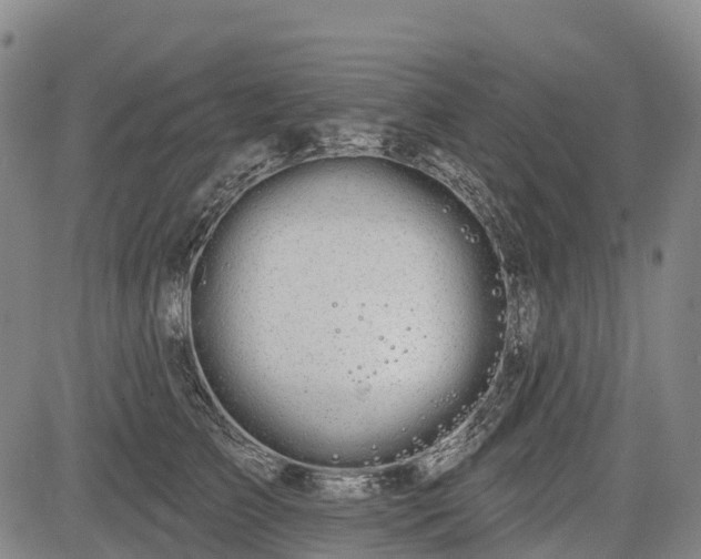 X0000085040709200703121433