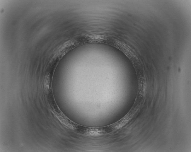 X0000085040710200703121433