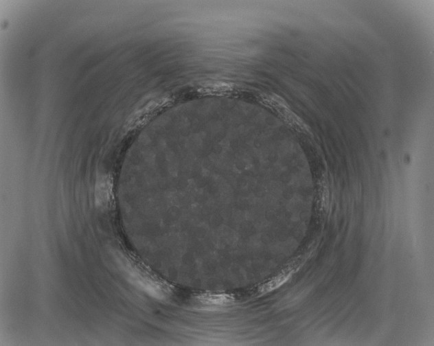 X0000085040711200703121433