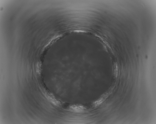 X0000085040712200703121433