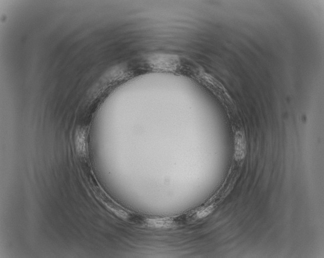 X0000085040713200703121433