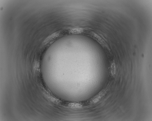 X0000085040714200703121433