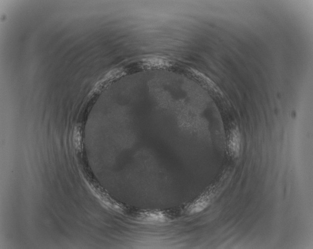 X0000085040715200703121433