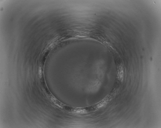 X0000085040716200703121433