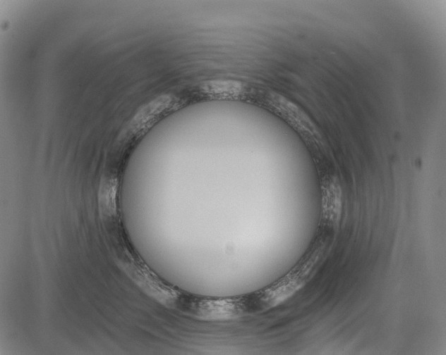 X0000085040717200703121433