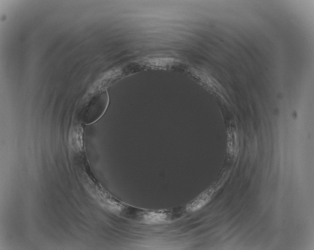 X0000085040718200703121433