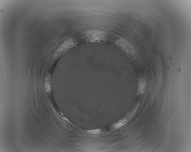 X0000085040719200703121433