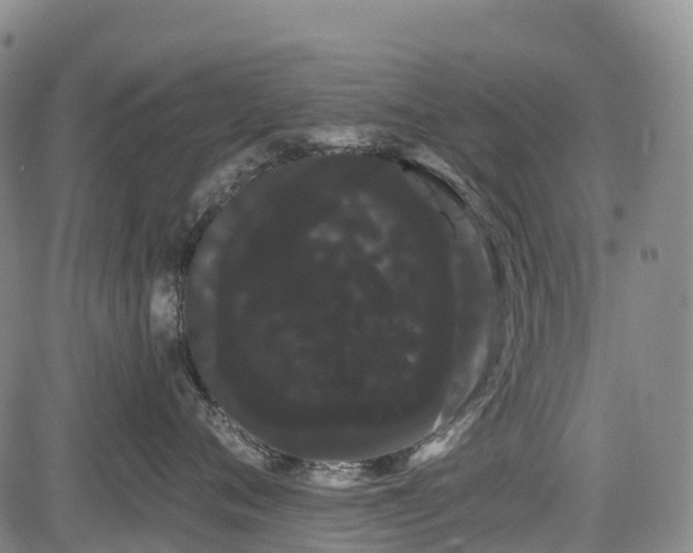 X0000085040720200703121433