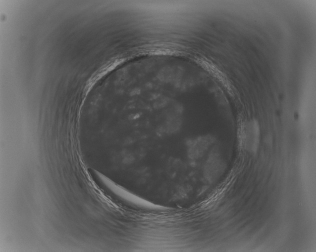 X0000085040721200703121432