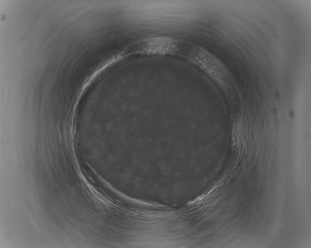 X0000085040722200703121433