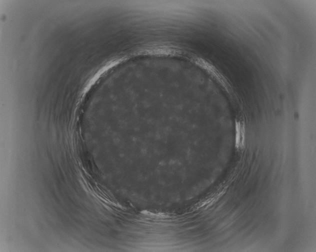 X0000085040723200703121433