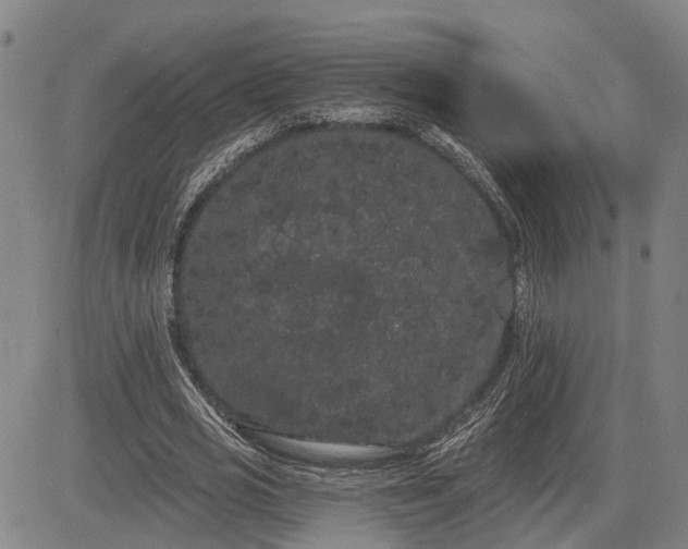 X0000085040725200703121433