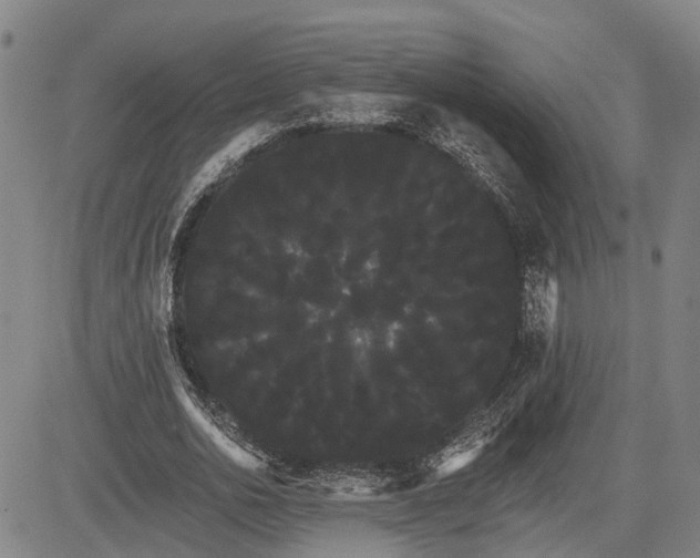 X0000085040726200703121433