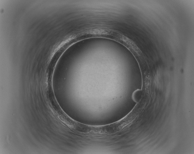 X0000085040727200703121433