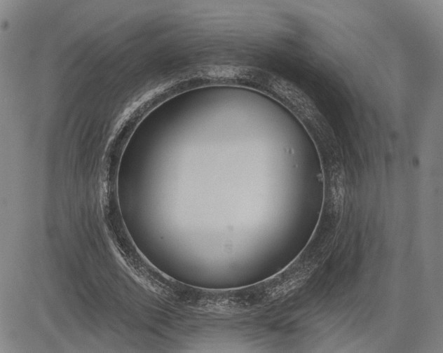 X0000085040728200703121433