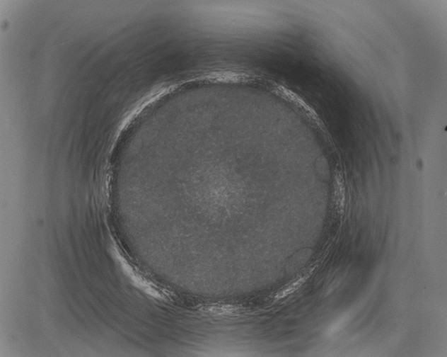 X0000085040730200703121433