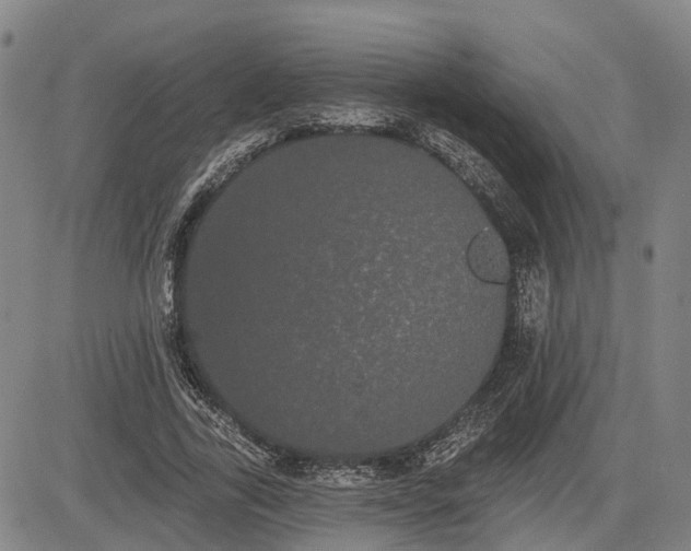 X0000085040731200703121433