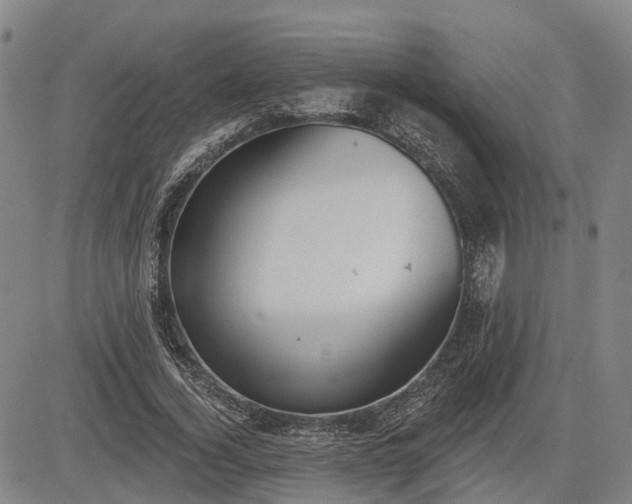 X0000085040732200703121433