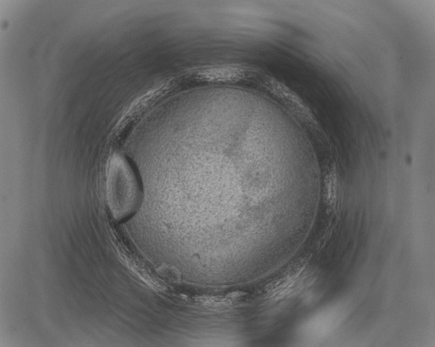 X0000085040733200703121433