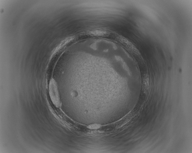 X0000085040734200703121433