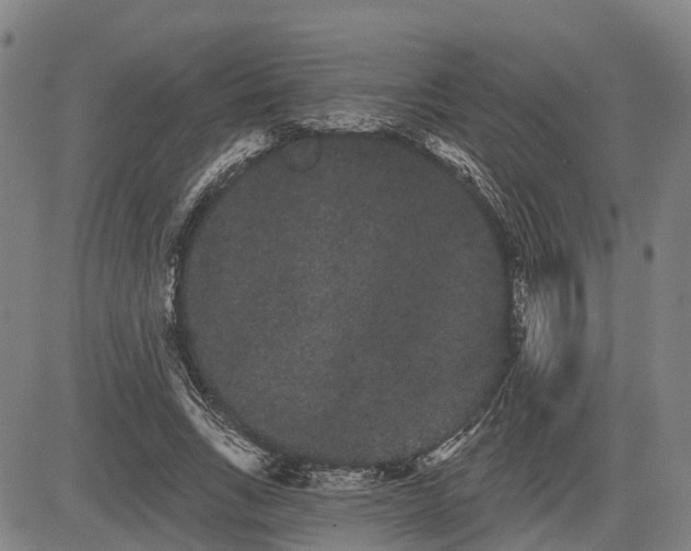 X0000085040735200703121433