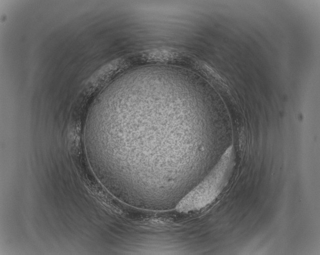 X0000085040737200703121433