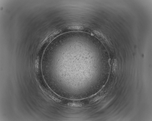 X0000085040739200703121433