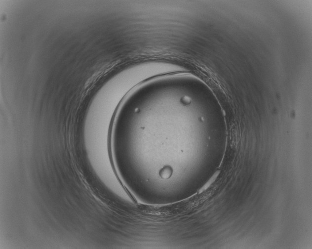 X0000085040740200703121433