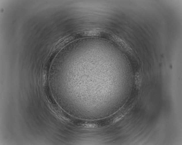 X0000085040741200703121433