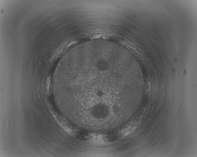 X0000085040742200703121433