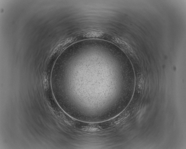 X0000085040743200703121433