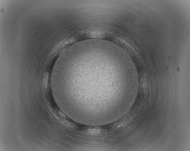 X0000085040744200703121433