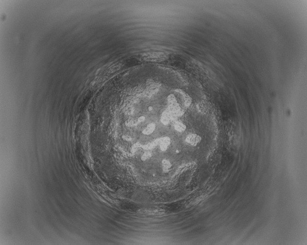 X0000085040745200703121433