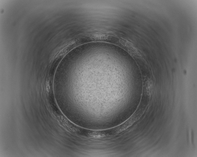 X0000085040746200703121433